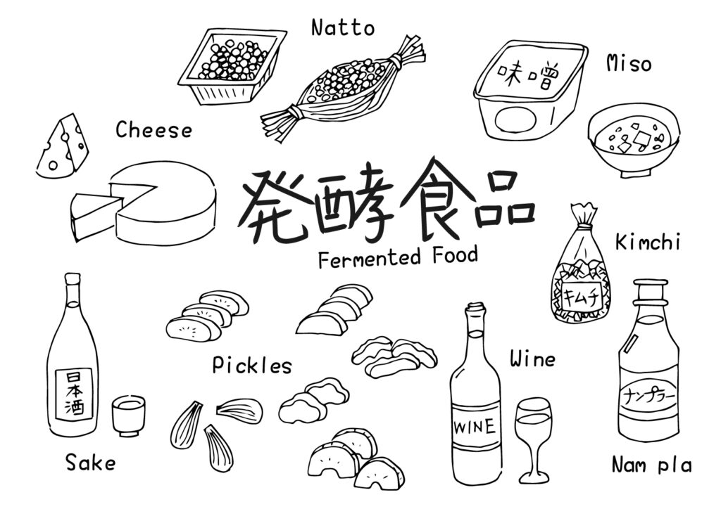 発酵の腐敗はどう違う?分かりやすく1分で解説!
