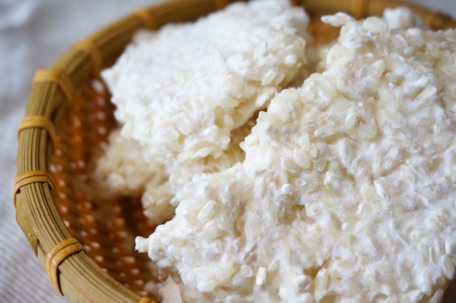 生麹と乾燥麹はどう違う?仕上がりや使い方の注意点について解説!