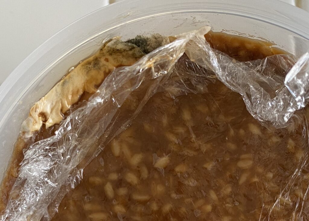手作り味噌にカビが生えても食べられる?カビを生えにくくするには?