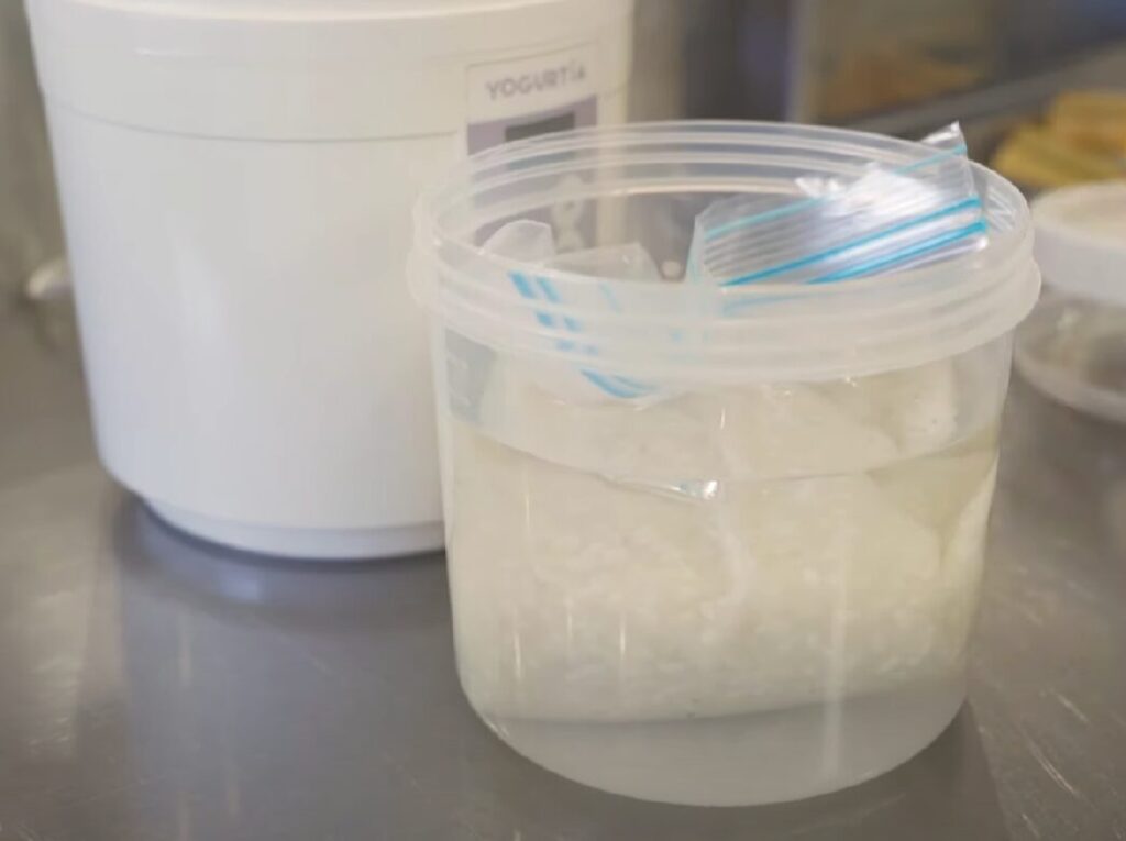 【玉葱麹の作り方】万能調味料の使い方や日持ちになども解説！
