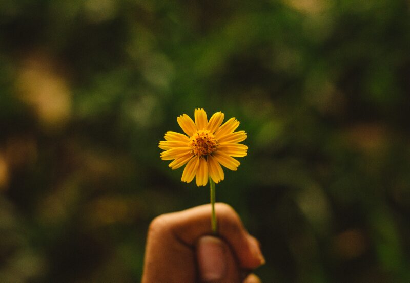 【教室運営】リピートされる教室の共通点3選・また来たいと思う心理とは?